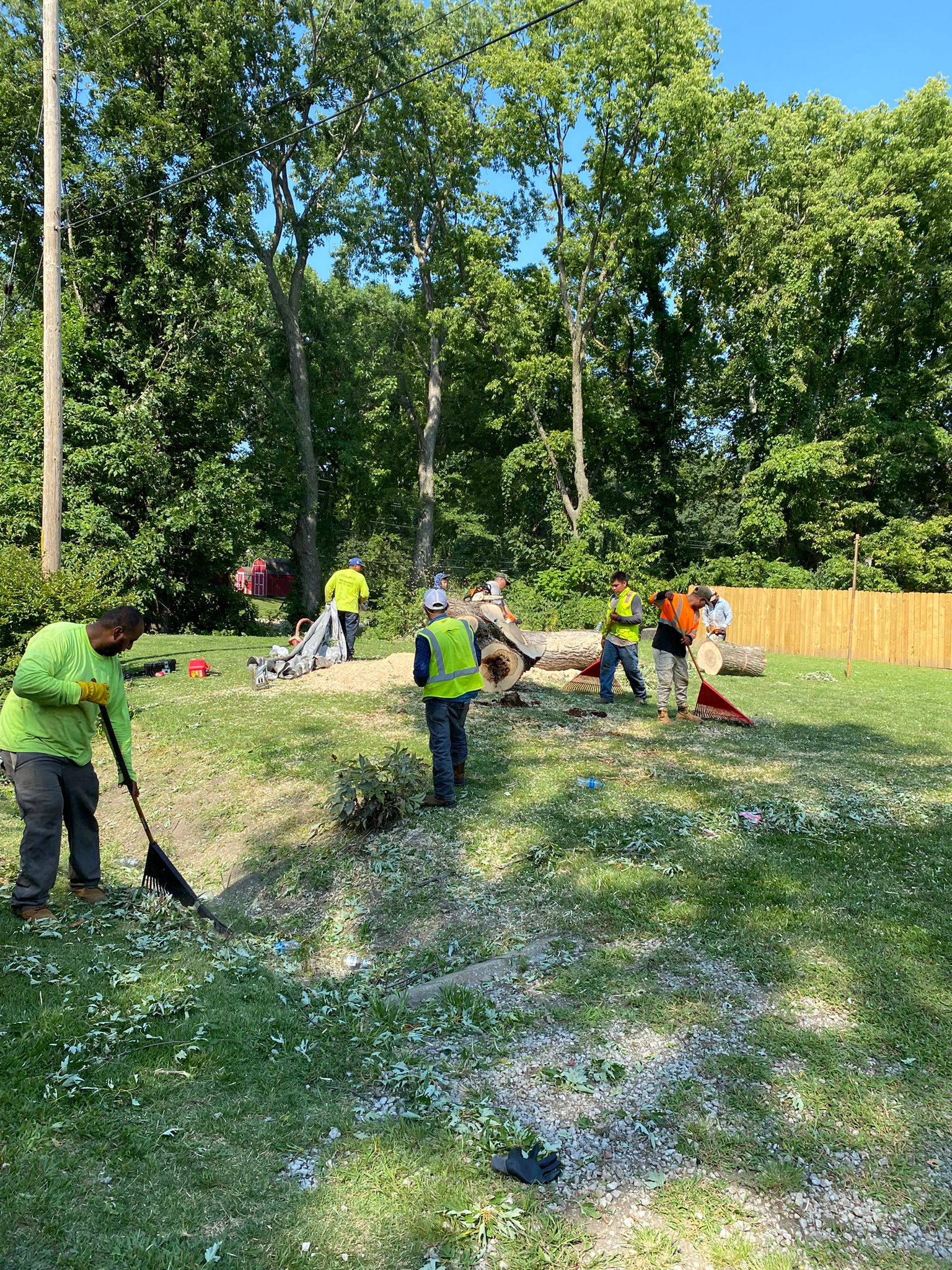 C/E Campos Tree and Lawn Service Image